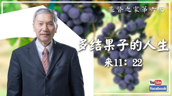 多结果子主日信息模板