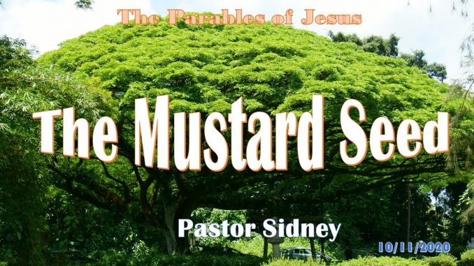 Mustard seed_title