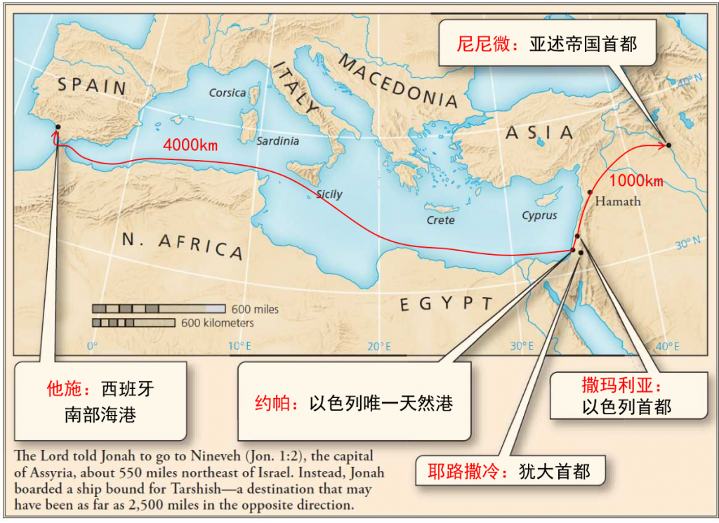 约拿（Jonah） – 基督六家全方位读经灵修网